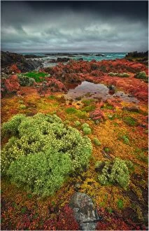 Images Dated 26th November 2012: The Gulchway, a rugged and isolated part of the West coastline of King Island, Bass Strait, Tasmania