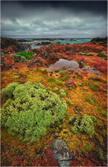 The Gulchway, a rugged and isolated part of the West coastline of King Island, Bass Strait, Tasmania The Gulchway, a rugged and isolated part of the West coastline of King Island, Bass Strait, Tasmania