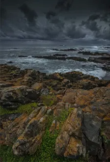 Images Dated 15th July 2014: The Gulchway, a rugged and isolated part of the West coastline of King Island