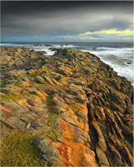 The Gulchway, a rugged and isolated part of the West coastline of King Island, Bass Strait, Tasmania