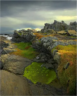 The Gulchway, a rugged and isolated part of the West coastline of King Island, Bass Strait, Tasmania