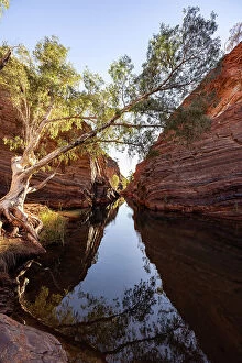 Images Dated 8th February 2023: Hamersley Gorge Reflections