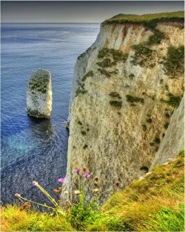 Images Dated 5th September 2012: Handfast Point, on the World Heritage Jurassic coastline of Dorset, south west England