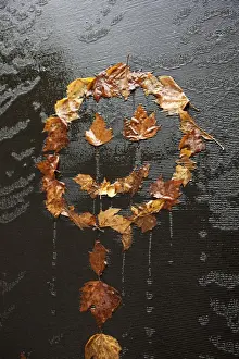 Environmental Conservation Prints: Happy dead maple leaves