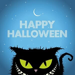 Images Dated 11th October 2016: Happy Halloween Black Cat with evil smile