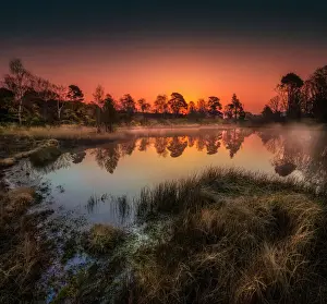 Hartland Moor at first light, Dorset, England, UK
