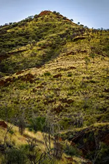 Alice Springs Prints: Hat Hill Saddle at West Macdonnell Ranges