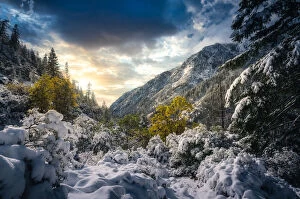 Images Dated 7th June 2020: Heavy first snowfall at Trinity Alps
