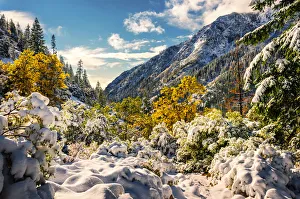Heavy snowfall at Trinity Alps, California Heavy snowfall at Trinity Alps, California