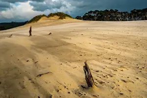 Sand Dune Prints: Henty Dunes at Tasmanian West Coast