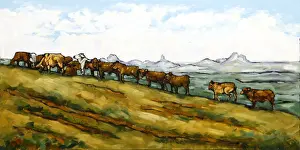 Herd of Bulls on a Hillside with Glass House Mountains in Distance Oil Painting