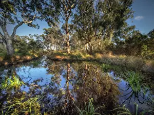 : Hidden Grove Wetlands, Keysborough South, Bayside