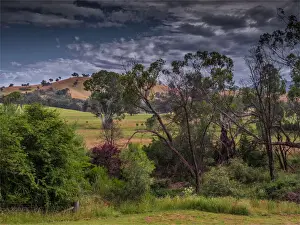 High Country scenery during summer, Mansfield district, Victoria, Australia