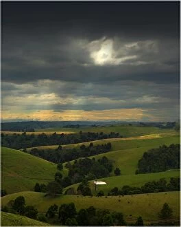 Images Dated 22nd April 2012: Hill-farming near Dollar, south Gippsland, Victoria, Australia