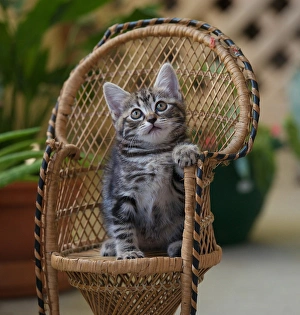 Hmmm... I wonder what fun tomorrow will bring.? Hmmm... I wonder what fun tomorrow will bring.?