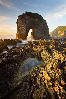 horse head rock on the south coast nsw
