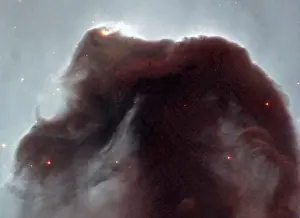 Horsehead Nebula; Looking like an apparition rising from whitecaps of interstellar foam
