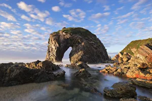 Horse's head rock at Camel Rock beach, South coast of Australia Horse's head rock at Camel Rock beach, South coast of Australia