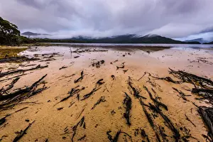 Horseshoe Inlet deep in the Southwest Wilderness, Tasmania