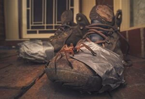 Australian Spiders Collection: Huntsman spider on old walking boots