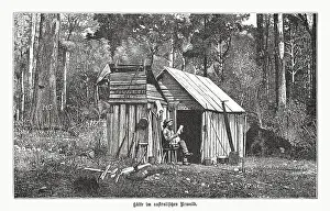 Images Dated 29th January 2023: Hut in the Australian primeval forest, wood engraving, published 1899