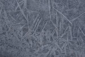 Images Dated 21st February 2014: Ice Crystals