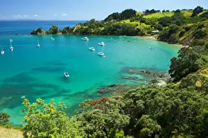 Idyllic bay on Rakino Island near Auckland in the Hauraki Gulf