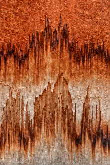 Images Dated 10th August 2023: Jagged wood stains shot from a close up point of view, Wyndham, Western Australia, Australia