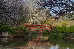 Japanese Garden in a public park in Toowoomba, Queensland