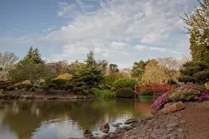 Japanese Garden in a public park in Toowoomba, Queensland