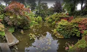 Formal Garden Prints: Japanese Gardens, Poole, England