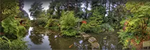 Formal Garden Prints: Japanese Gardens, Poole, England