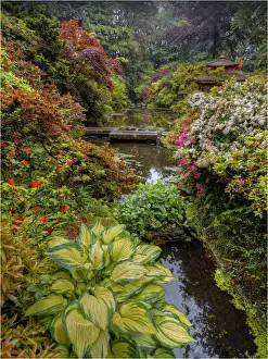 Formal Garden Prints: Japanese Gardens, Poole, England