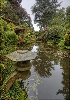 Formal Garden Prints: Japanese Gardens, Poole, England