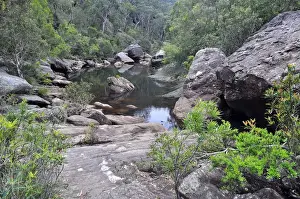 Blue Mountain Prints: Jelly bean pool