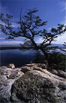 Wyoming Prints: Jenny lake view, Grand Teton national park, Wyoming