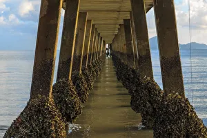 Under the Jetty