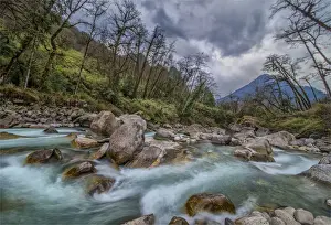 Rapid Prints: Jigme Dorji National Park, Northern Bhutan