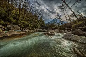 Rapid Prints: Jigme Dorji National Park, Northern Bhutan