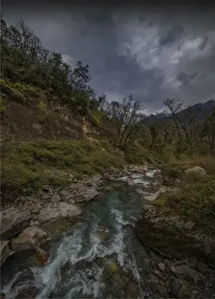 Jigme Dorji National Park, Northern Bhutan