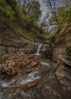 Jigme Dorji National Park, Northern Bhutan