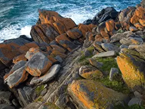 Kangaroo Island