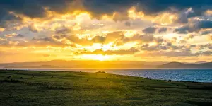 Maria Island Prints: Kangaroos at Cape Boullanger, Maria Island, Tasmania