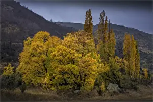 Images Dated 28th April 2014: Kawarau river South Island of New Zealand