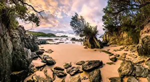 South West Cape Prints: Ketchem Bay at South West Cape track, Southwest Tasmania