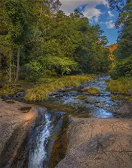 Killarny Glen rainforest, Hinterland of southern Queensland, Australia