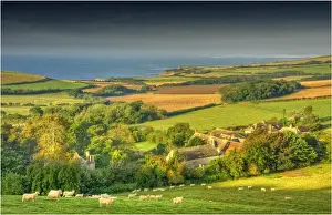 Images Dated 8th September 2012: Kimmeridge Bay, on the World Heritage Jurassic coastline of Dorset, south west England
