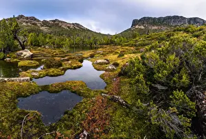 King Davis Peak and Mount Ophel in Walls of Jerusalem National Park, Tasmania in Walls of Jerusalem National Park, Tasmania