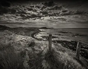 Kitty Millar bay, in the summer light, Phillip Island Bass Coast, Victoria, Australia