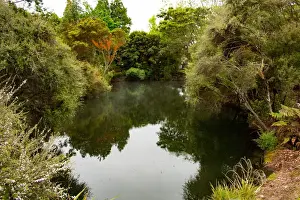 Rotorua, North Island Prints: Kuirau Park